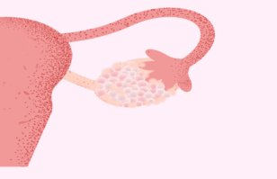 SOP (1)